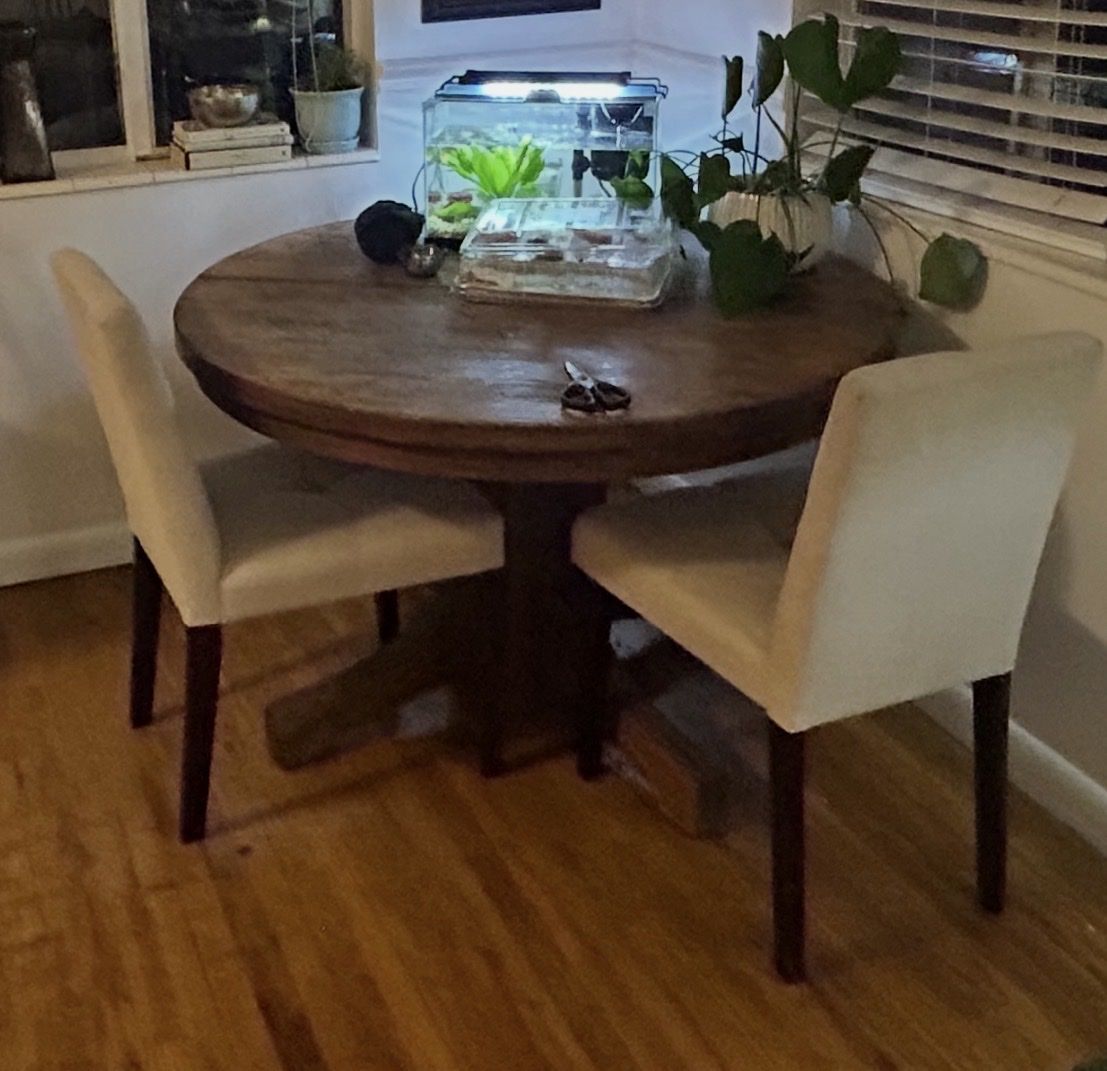 Round Wood Pedestal Dining Table - Dark Finish, Compact, Sturdy
