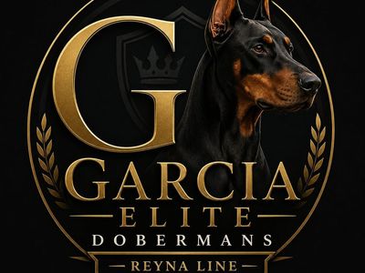 AKC Registered Doberman Puppies - AVAILABLE NOW!