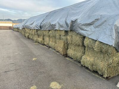 Small mixed grass and alfalfa bales for sale