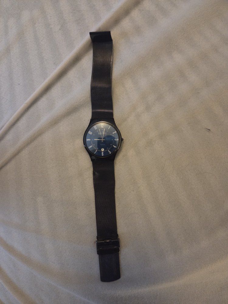 Skagen Denmark Men's Black Titanium Mesh Watch T233XLTMN