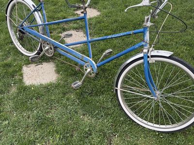 Schwinn Twin Bicycle