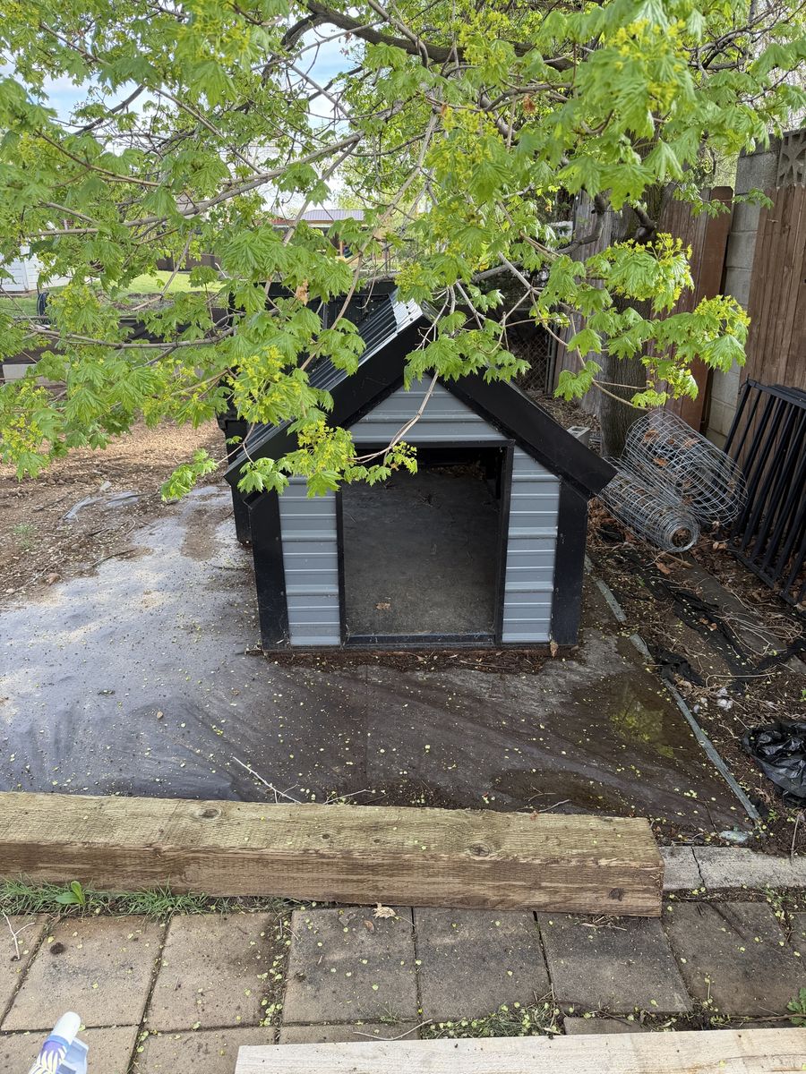 Dog House