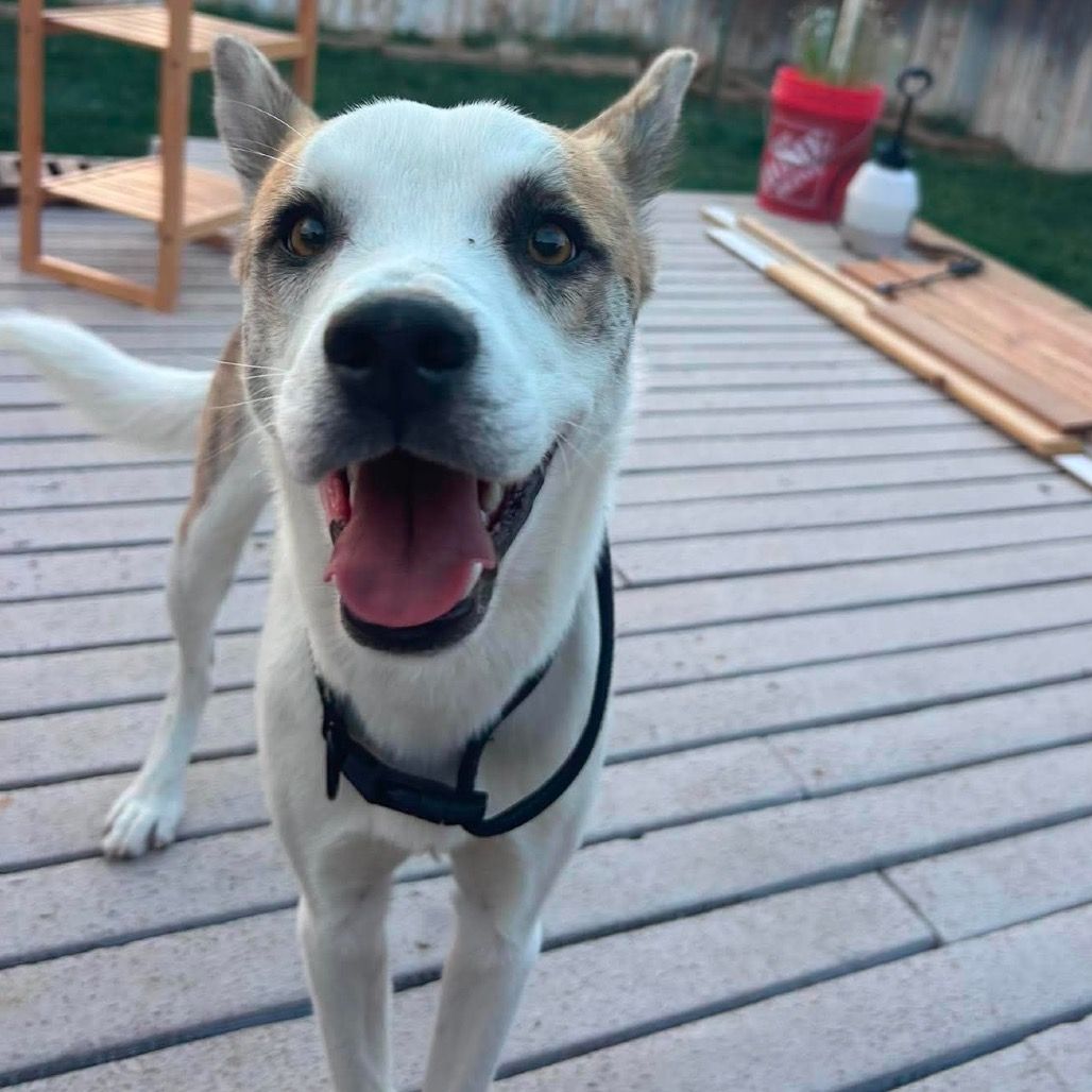 Hello my name is Toby