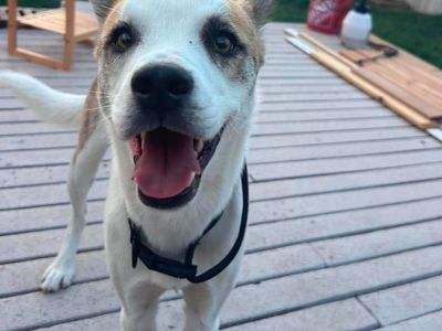 Hello my name is Toby