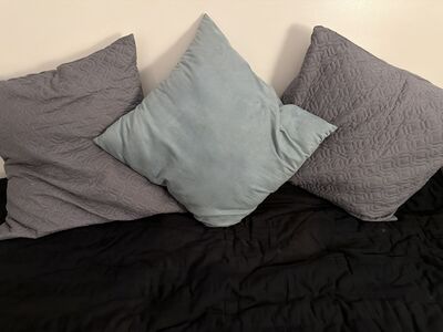 3 Large Throw Pillows