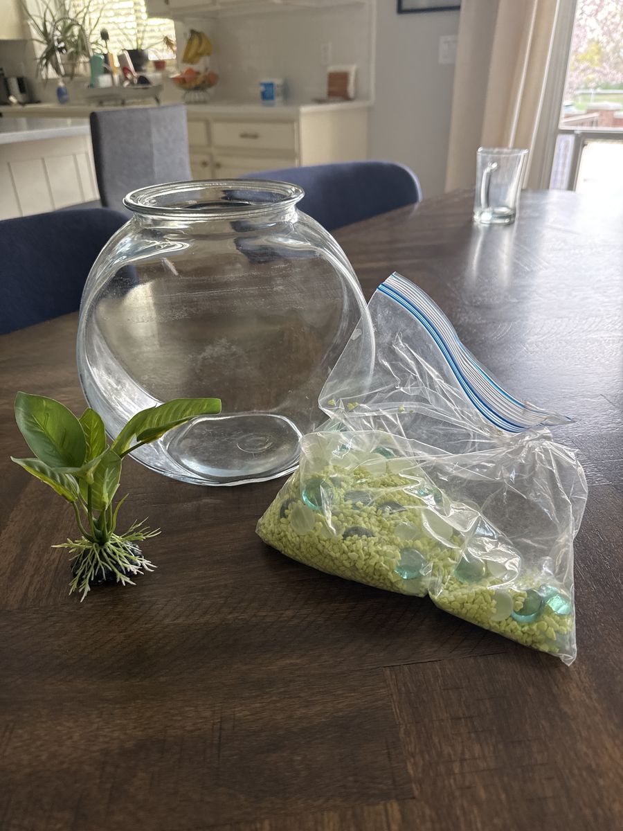 Fish Bowl