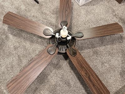 Ceiling fan