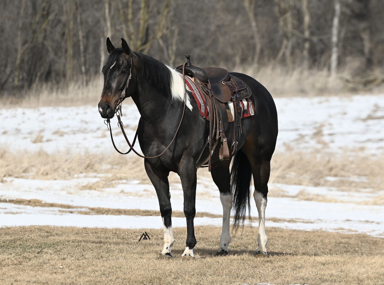 𝐍𝐄𝐖 𝐏𝐑𝐈𝐂𝐄 - "𝗨 𝗖𝗿𝗮𝗰𝗸 𝗠𝗲 𝗨𝗽" - 𝗛𝗨𝗚𝗘 𝗧𝗼𝗯𝗶𝗮𝗻𝗼 𝗥𝗔𝗖𝗘𝗕𝗥𝗘𝗗 𝗚𝗲𝗹𝗱𝗶𝗻𝗴!