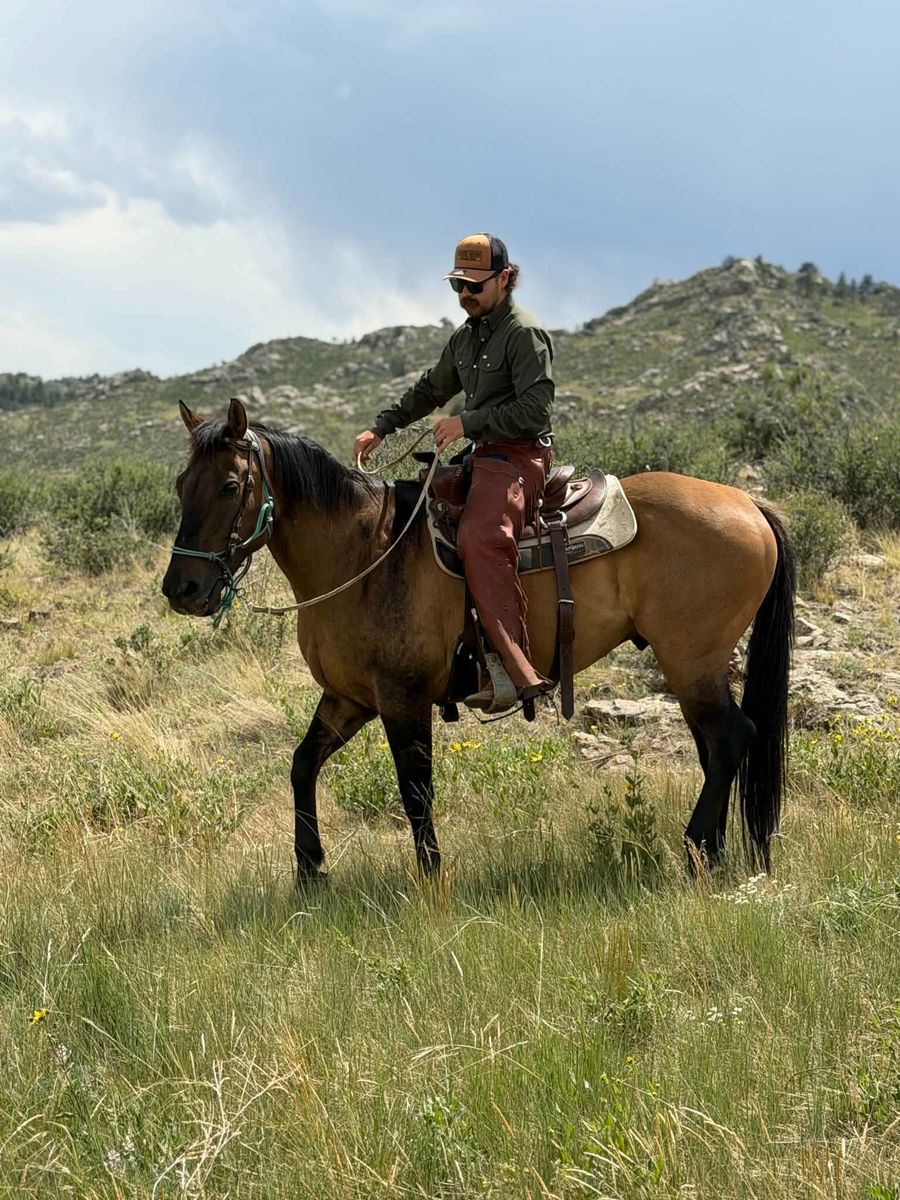 Horse Training / Colt Starting