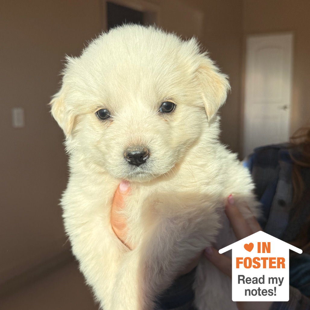 Hello my name is Mandu