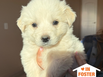 Hello my name is Mandu