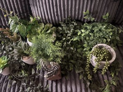 Fake plant bundle
