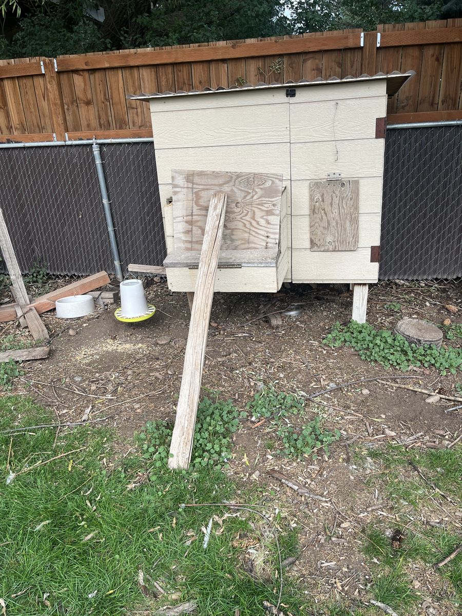 6 chicken coop