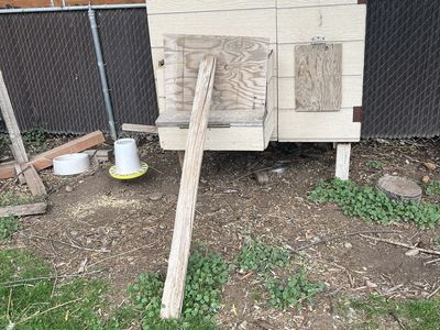 6 chicken coop