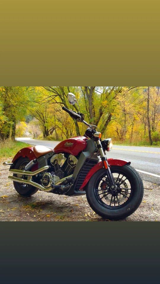 2015 Indian Scout