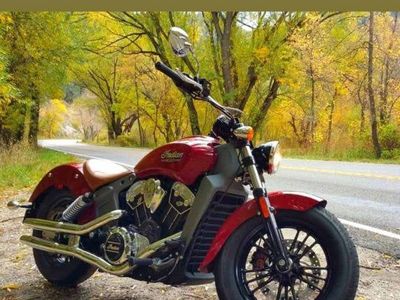 2015 Indian Scout