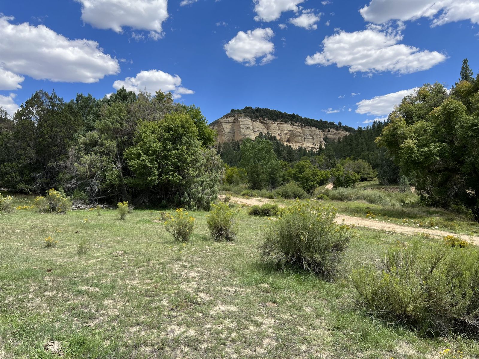 FOR SALE AT AUCTION - SILVAN ESTATES (C-27354)