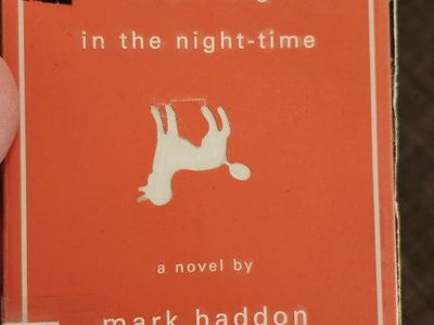The Curious Incident of the Dog in the Night-Time by Mark Haddon