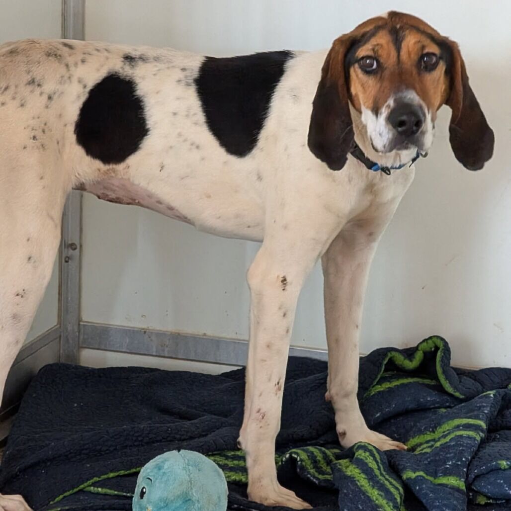 Hello my name is Santa Fe