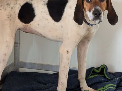 Hello my name is Santa Fe