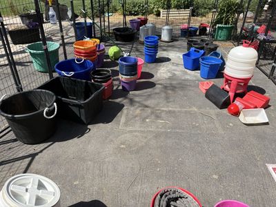 Assorted Farm Waterers, Buckets, and Feeders -Used