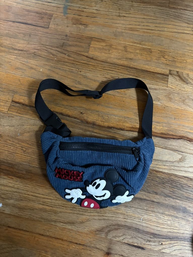 Zara disney Fanny