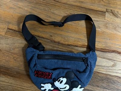 Zara disney Fanny