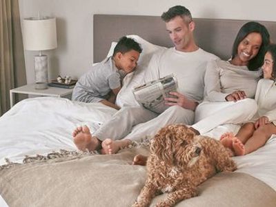 80% off Winkbed, Dreamcloud, Saatva, Beautyrest, Sealy, Serta + 20 brands, King, Cal King, Queen, Full, Twin, Twin XL