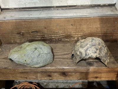 Rock hides