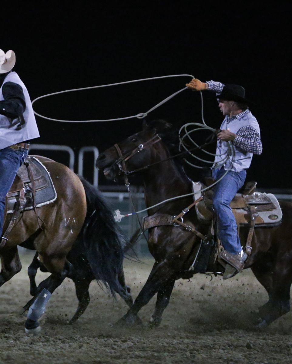 Rope horse