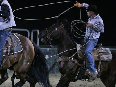 Rope horse
