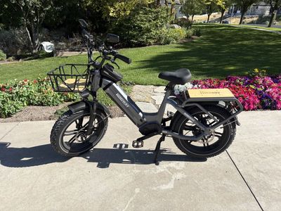 Himiway Big Dog Electric Cargo Bike - Gray