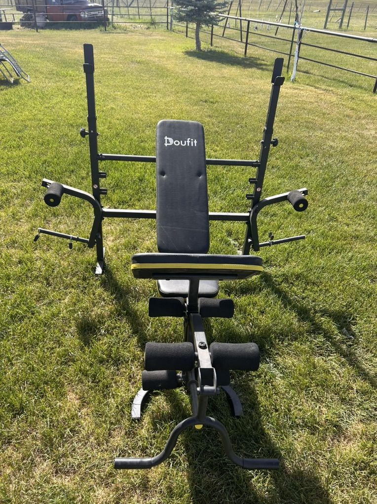 Doufit Workout Bench