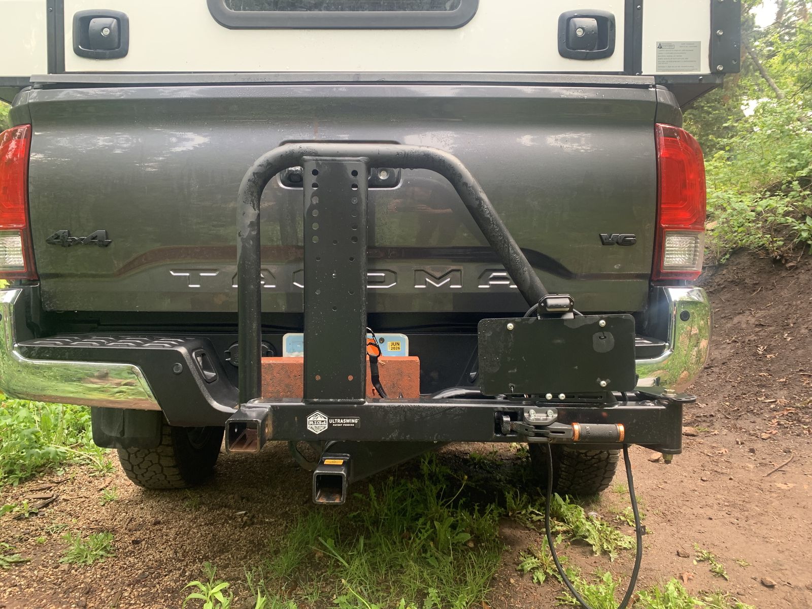 RigD Multi-Fit UltraSwing Swingarm