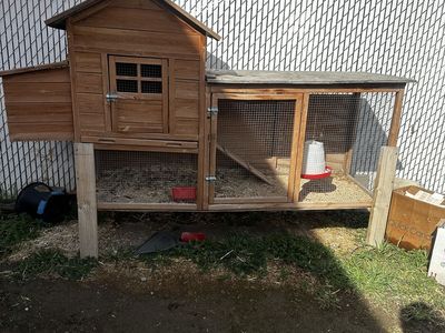 Chicken Coop