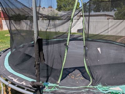 Trampoline