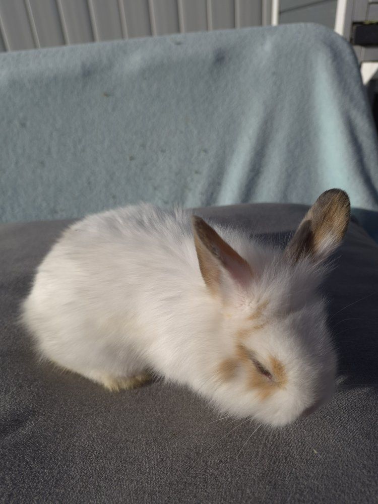 Main image 27