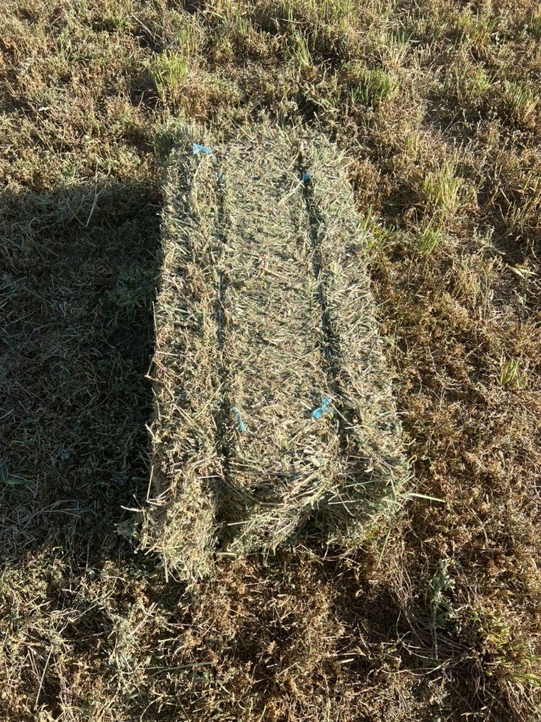 Grass Alfalfa Mix Small Bales