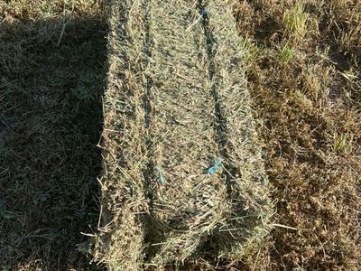Grass Alfalfa Mix Small Bales