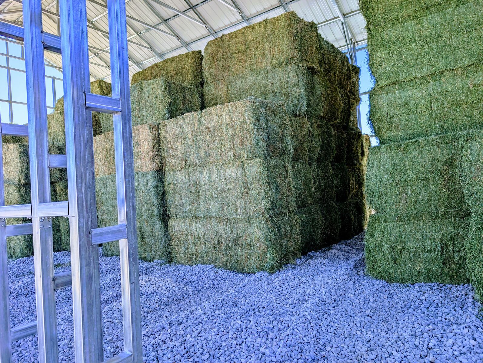 Premium Alfalfa Hay - 3x3x8 Bales - Pickup or Delivery