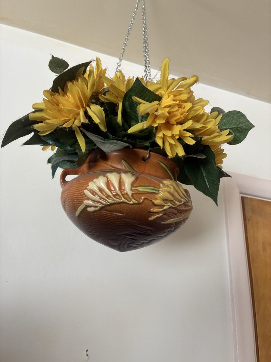 Main image 27