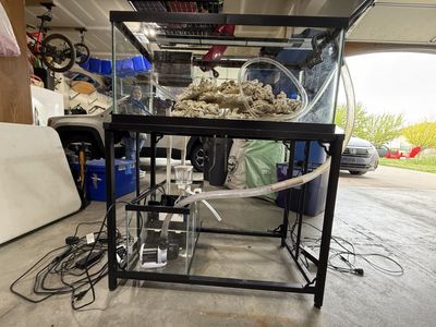 45 gallon Salt Water Aquarium Tank