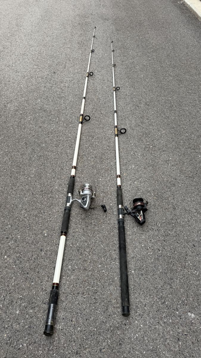 Two Shakespeare Alpha “Bigwater” boat/deep-sea rods — a 10’ (BWS 510-2M) and a 12’ (BWS 512-2M),m