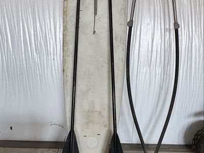 Windsurfer Sailboard with Mast, Boom, Sail, Daggerboard & Paddles