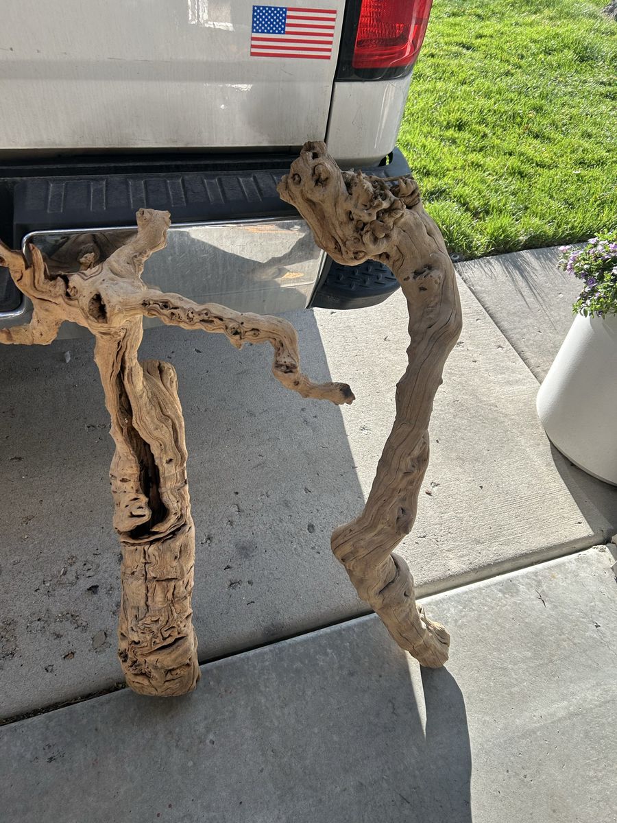 Reptile wood