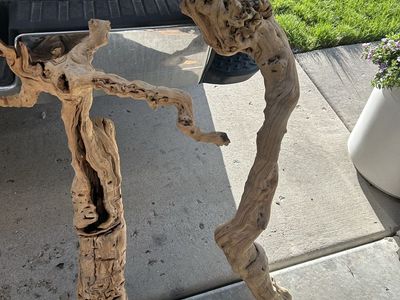 Reptile wood