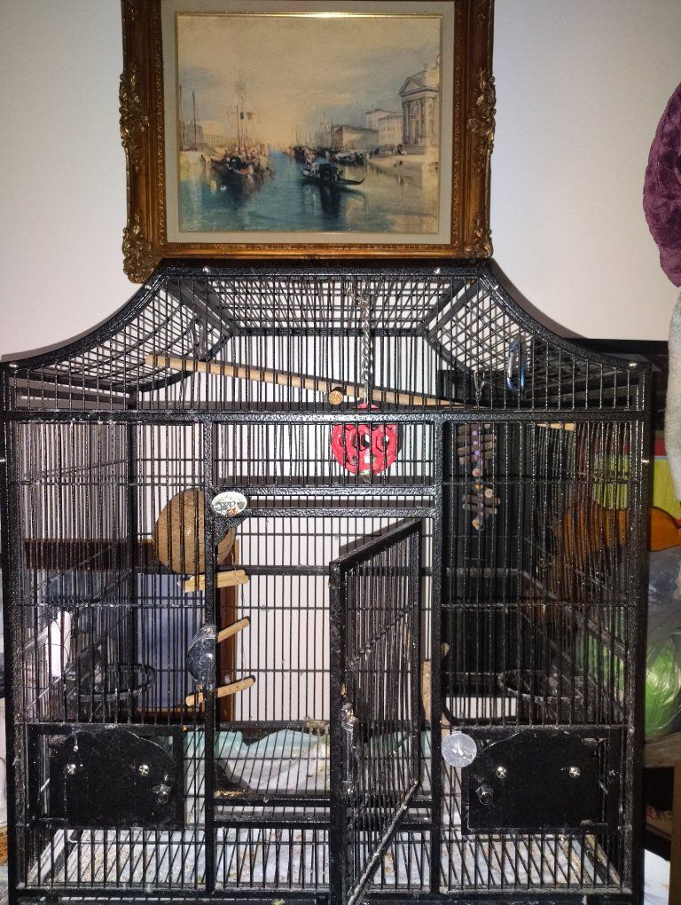 Bird cages