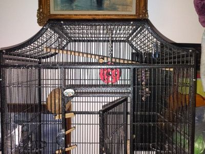 Bird cages