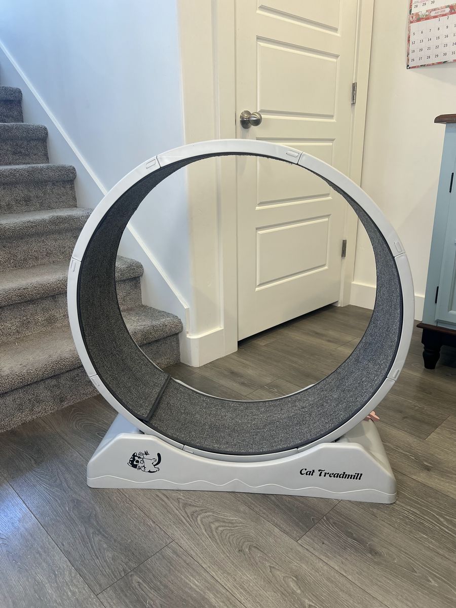 Cat Exercise Wheel - Running Treadmill for Indoor Cats