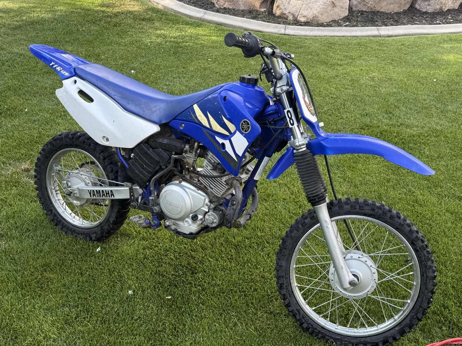 2003 Yamaha TTR-125 Dirt Bike Off-Road Motorcycle Blue